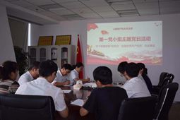 機關黨支部開展“紀律規矩在我心中” 主題黨日活動